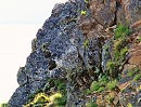 камни