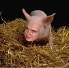 Песенка про кризис