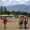 уставшие от фотосессии