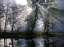 Свет в царствии теней