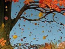 Природы золотая благодать