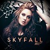 Adele - Skyfall (Vladimir_Efrashov My New Version)