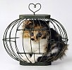 Мир - как клетка