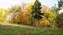 В столетнем парке осенью.