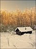 Деревенский я деревенский