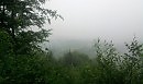 туман в горах