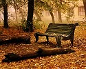 Золотая осень  -  песня