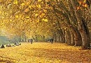 ОСЕНЬ-разлука