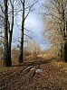 Осенняя распутица