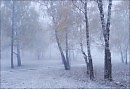 Метелью "прилетела" Зима