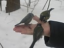 жизнь