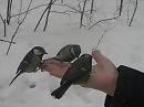 жизнь