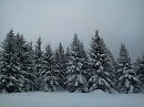 Зима