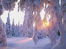 Снег.