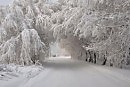 Декабрьская матрица