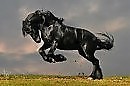Аллюр Молодости. (Глава 20)