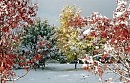 Природы чудные мгновенья