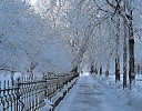 Под зимним кружевом... (Серия " Зимняя элегия")