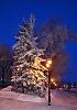 Безмятежность...( Серия " Зимняя элегия")