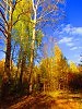 из серии : Уральская осень