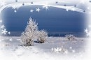 С Новым 2014 годом!