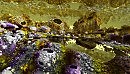 Впещеррах неведомой планеты