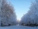 забери на облака... ( Серия " Зимняя элегия").