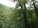 Архипка