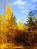 из серии : Уральская осень