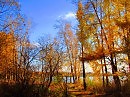 из серии : Уральская осень