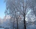 Окрыляясь чистотой... ( Серия " Зимняя элегия")