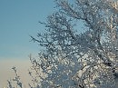 Снежные наряды Земли (Серия " Зимняя элегия")