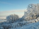Почему бы не ....( Серия " Зимняя элегия")