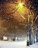 Бродя по улицам зимой