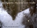 Дождь