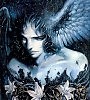 Dreams Morpheus