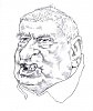 Жириновский: шарж