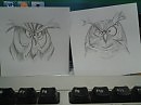 Совы)