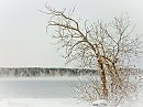 Уединение