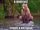 ПАРОДИЯ: «Ты сказочна, но точно не лягушка»..