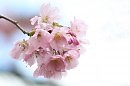 Весенний день