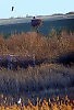 АИСТ НА КРЫШЕ