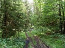 Любви гримасы