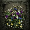 Первоцветы