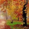 "Старая любовь"-дуэт Вера Царёва и Николай Головков,муз.Н.Головков сл.-Ю.Плаксин видеоряд-Альвина Ляпор