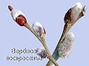 ВЕРБНОЕ ВОСКРЕСЕНЬЕ