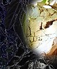 Пейзажи Галилейские1