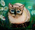 Кошка в ромашках
