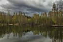 После дождичка в четверг.....