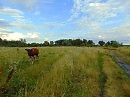 СТЕПЬ ВОЗЛЕ РЕЧКИ